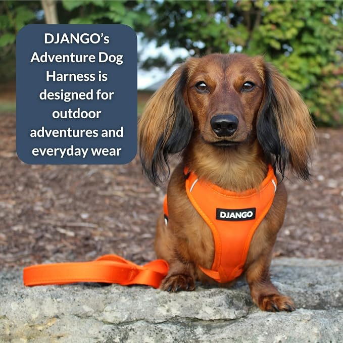 Adventure Dog Harness - Stylish, & Durable Large Dog Harness for Outdoor Adventures and Everyday Wear - Sunset Orange Neoprene Adjustable Harness for Dogs with Reflective Piping & Brass D-Ring