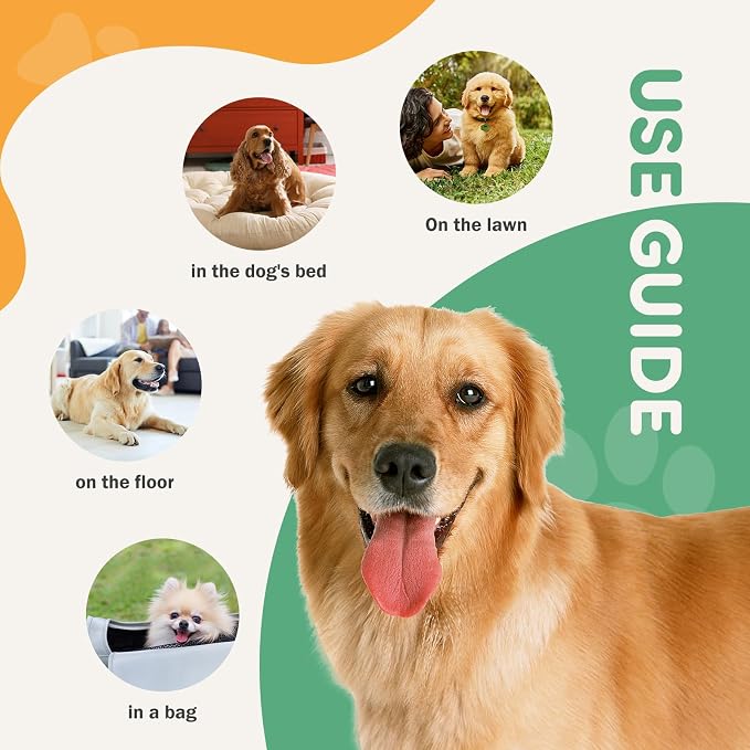 DUMOS 100 Count Puppy Dog Pads, Dogs Potty Pee Disposable Training Pads | 6-Layer Super Absorbency, Disposable Pet Leakproof Quick Drying, 22"×22"× Regular Size