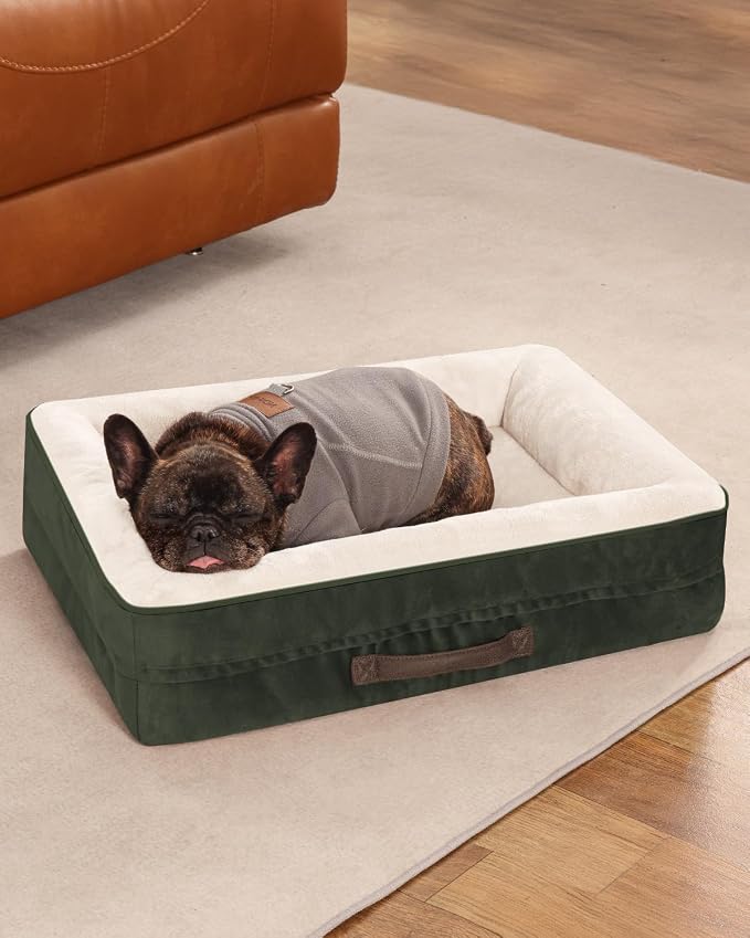 Upvilla Orthopedic Dog Bed, Four-Sided Small Dog Sofa, Washable Cover Green | Removable Waterproof Dog Bed Cover, Egg-Crate Orthopedic Foam, Built-In Carry Handle, Indoor Small Pet Beds, Cat Beds