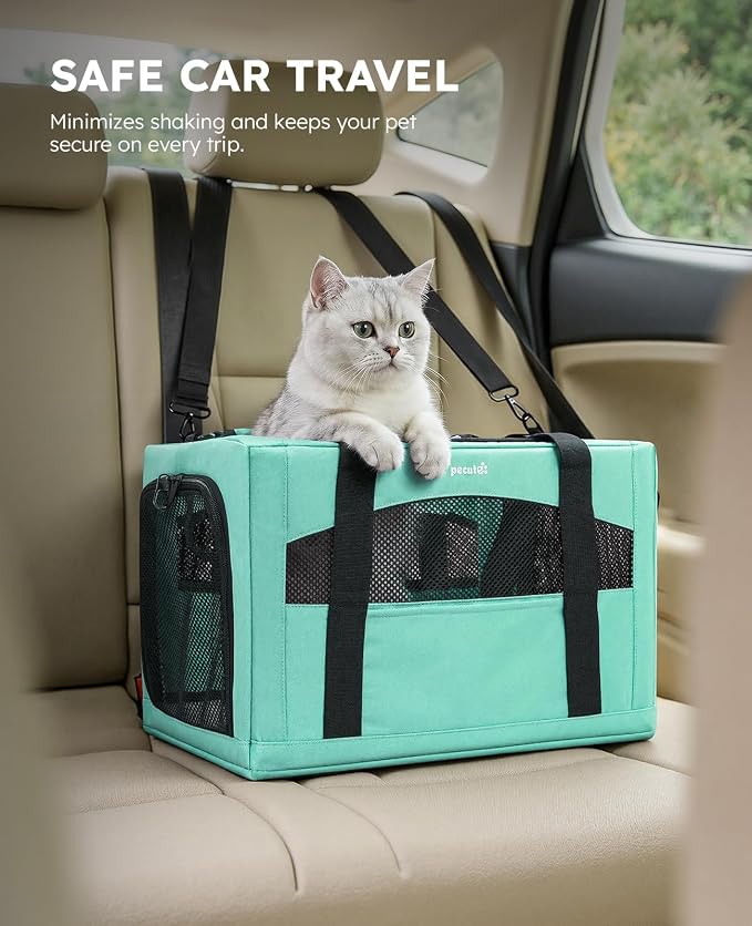 Pecute Cat Carrier Stable, Pet Carrier with Privacy Partition,Light Green | Safe For Car Travel, Stable Steel Frame, Soft-Sided Pet Carrier Bag For Dogs And Cats Up To 11lbs, Foldable Design.