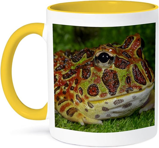 3dRose High Red Ornate Pacman Frog, Ceratophrys ornate, controlled conditions 15oz Two-Tone Yellow Mug