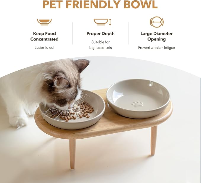 Havniva Cat Bowls Elevated 6” Ceramic Cat Bowl with Stand Whisker Friendly Shallow Cat Dishes, Cat Food & Water Bowl Set with Two Height Options, Anti-Slip Raised Cat Food Bowl for Kittens
