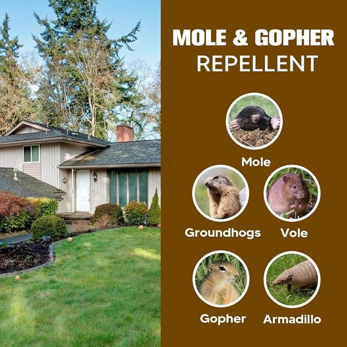 LEBMP Mole Repellent, Gopher Repellent, Groundhogs Repellant Outdoor, Vole Deterrent, Armadillo Repellent for Lawns, Keep Mole Out of Yard, Get Rid of Gophers, Covers Up to 120 Sq Ft-10Pcs