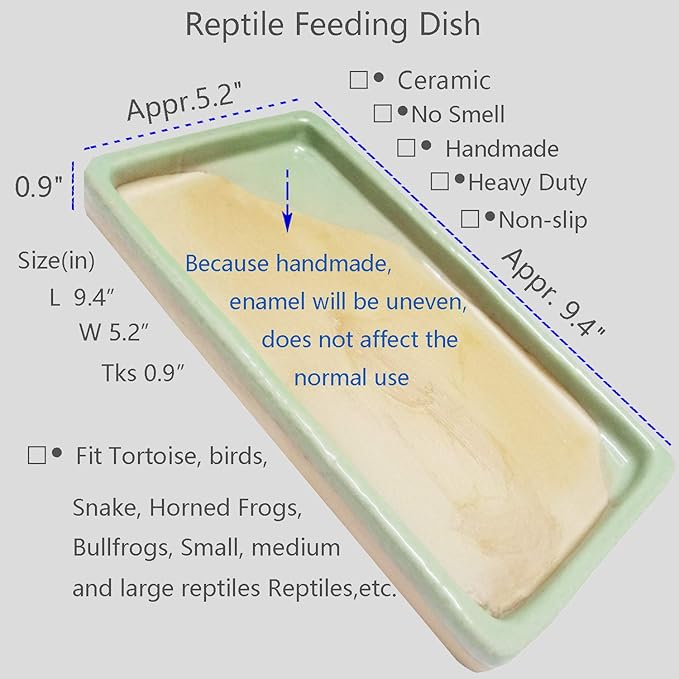 Reptile Feeding Dish Bowl Food and Water Bowl Tortoise Dish Reptile Tank Decor, Heavy Duty Ceramic Feeding Dish, Large Size