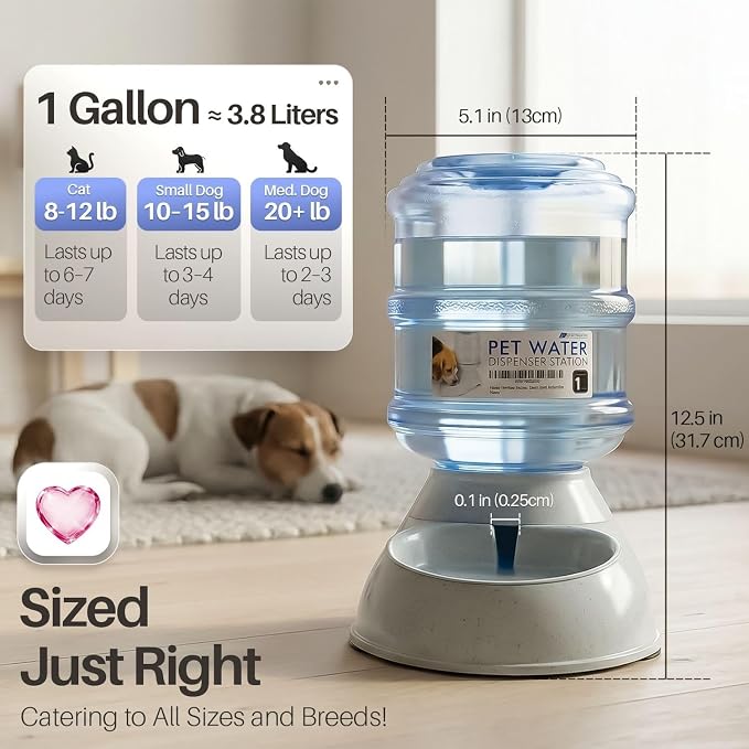 Flexzion Automatic Pet Feeder & Waterer Set of 2 Pack, Self Feeding Replenish Dog Cat Bowls, Gravity Food & Water Storage Container Fountain Jug Pet Supplies Plastic Skid Proof Rubber Feet (1 Gallon) | Self-Replenishing Dry Food Station with Non-Skid F...