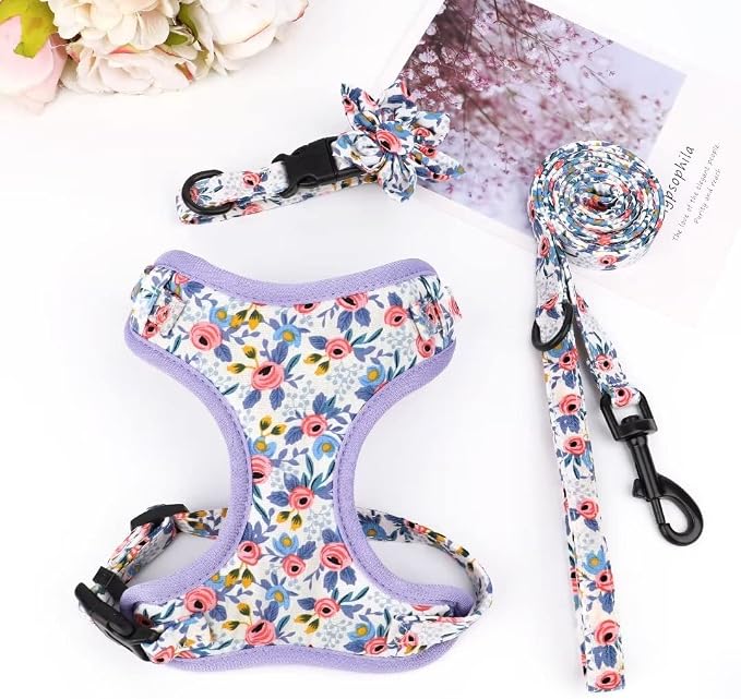 Beirui Cute Dog Collars,Harnesses,Leashes Set, Floral Pattern, Blue,XXS | Girl Dog Harness Set with Flower, Adjustable and Soft Mesh Lining, For Puppies Small & Extra Small Dogs Daily Walks