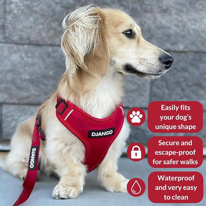 Adventure Dog Harness - Stylish and Durable Large Dog Harness for Outdoor Adventures and Everyday Wear - Red Neoprene Adjustable Harness for Dogs with Reflective Piping, Solid Brass D-Ring