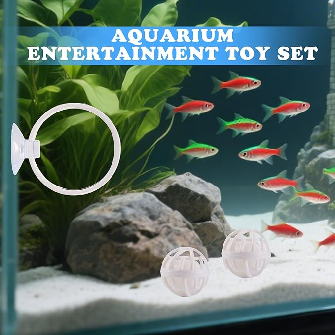 Betta Fish Toys, 2 PCS Fish Exercise Ring and Nitrifying Balls Set, Betta Mirror Toy Set, Feeding Ring with Suction Cup, Fishing Tank Accessories for Gifts (White)