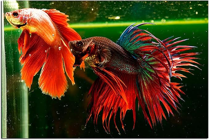 A.D.P. Biomass 100 g. Special High Protein 56.4% Tropical Fish Food Growth Fast Color Enhancer Guppy Betta Feed Slow Sinking Pellets 400 Microns for All Small to Medium Fish & Fry Newborn Fish Care