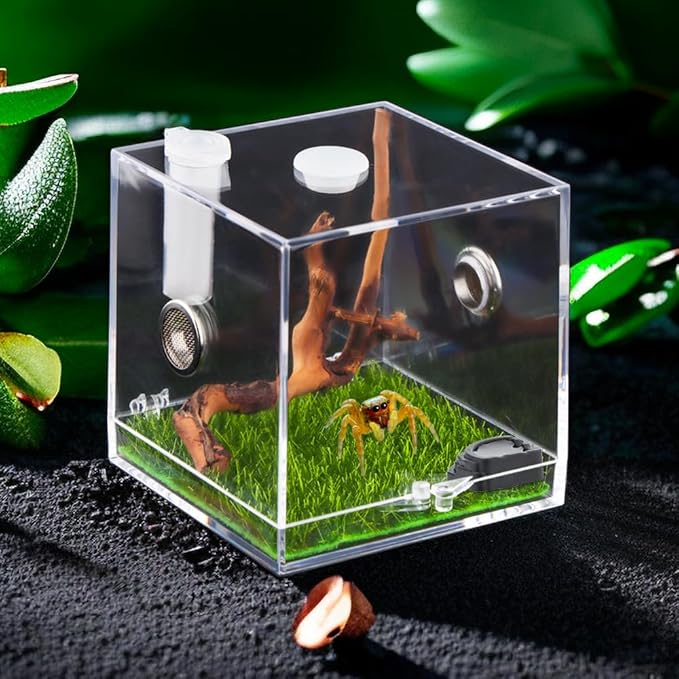9 Pcs Tarantula Micro Water Bowl, Mini Resin Dish Tiny Bowl for Spider Tarantula Millipede Insect (Small: 1" D, 0.39" H)