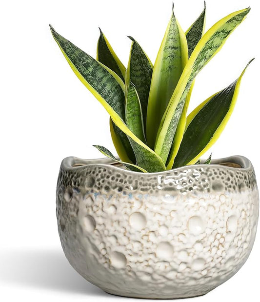Ceramic Flower Pots - 8 Inch Plant Pots for Indoor Outdoor, Unique Round Planter with Drainage Hole and Plug, Decorative Ceramic Planter, Room Decor, House Warming Gifts, Beige-Grey