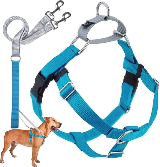 2 Hounds Design Freedom No Pull Dog Harness and Leash, 5/8" SM, Turquoise | Promotes Easy Walking & Comfortable Control, Secure Fit, Adjustable Harness and Leash Set for Small Sized Dogs, Made in USA
