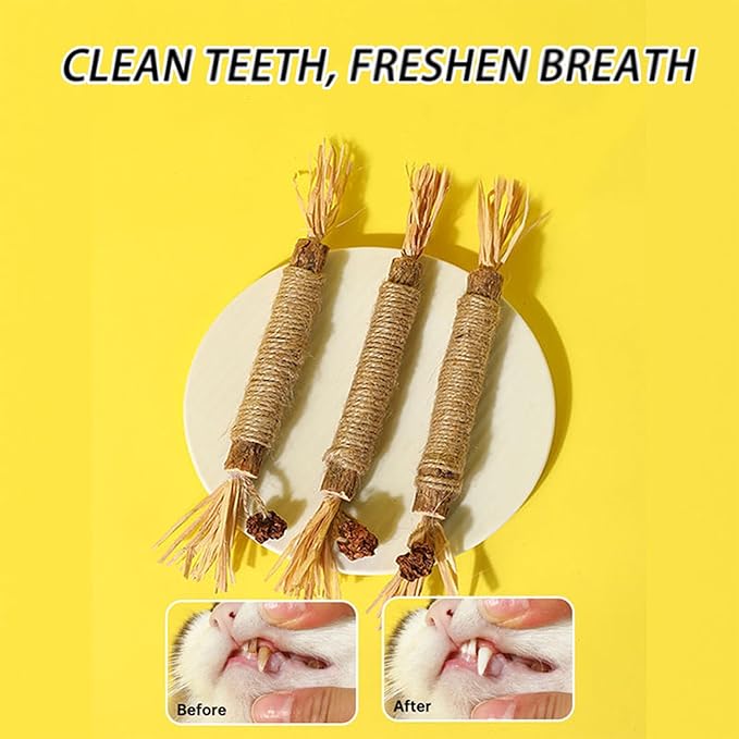 UBIETY Natural Silvervine Dental Sticks, silvervine Sticks for Cats，Natural Cat Chew Stick, Interactive Kitten Chew Playthings, for Indoor Kitty Nip Teeth Cleaning Dental Care Biting (10PCS)