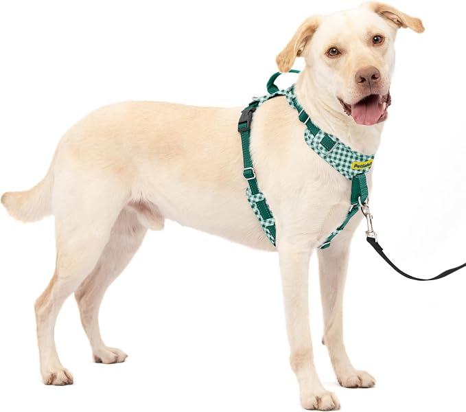 PetSafe Easy Walk Comfort No Pull Dog Harness, Green Gingham, Large | Stops Pulling on First Use with Front Martingale Loop, Padded Comfort, 5-Point Adjustable Fit