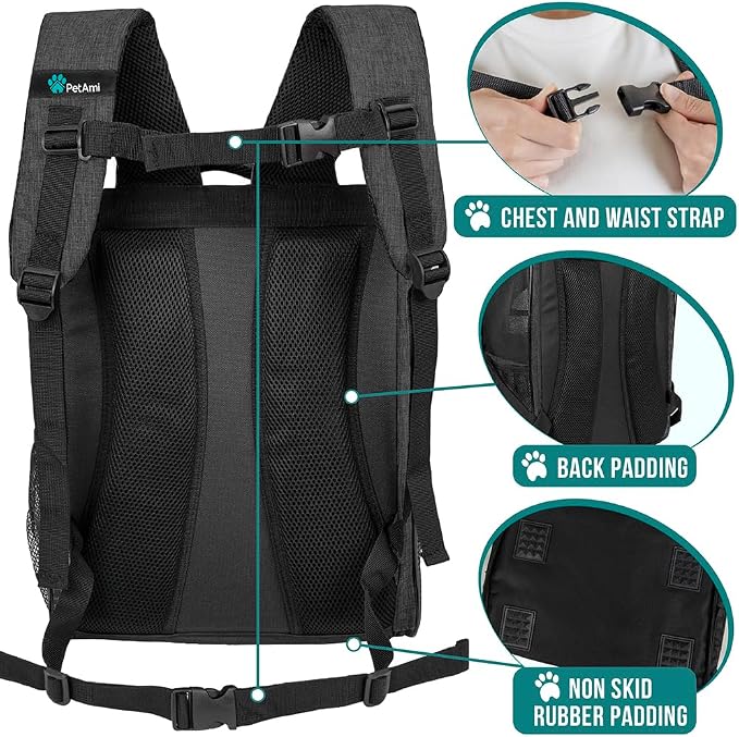 PetAmi Dog Backpack Carrier for Small Medium Dogs Large Cats up to 18 lbs, 2 Side Entry, Structured No-Collapse Frame, Airline Approved Ventilated Pet Backpack for Hiking Camping Travel, Charcoal