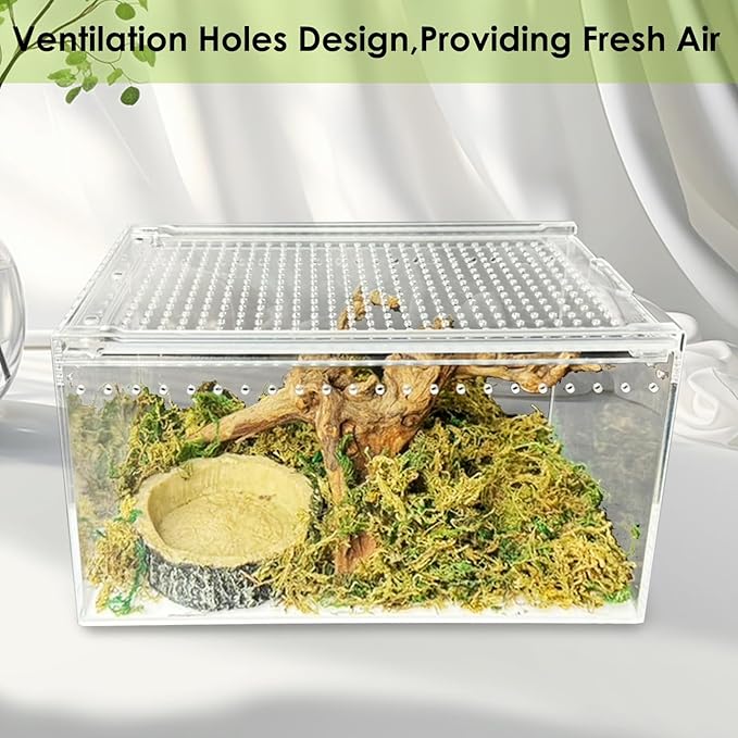 Reptile Terrarium Enclosure 10" x 6" x 6" Acrylic Tarantula Breeding Box Magnetic Hermit Crab Habitat Transparent Jumping Spider Cage for Insect Snail Amphibians Sling Isopods