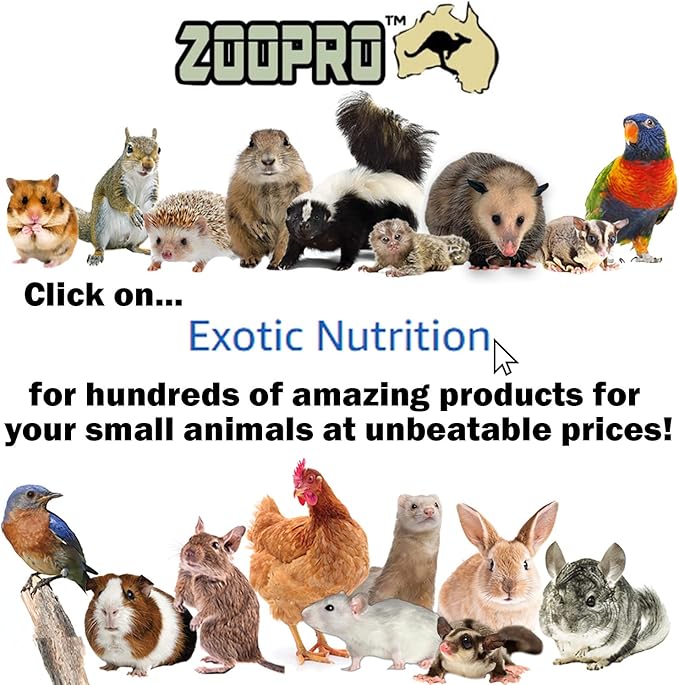 Brisbane Cage & Starter Package for Sugar Gliders - Includes Durable Cage, Healthy Food Variety, Exercise Wheel, Food Dishes, Water Bottle & Nest Pouch
