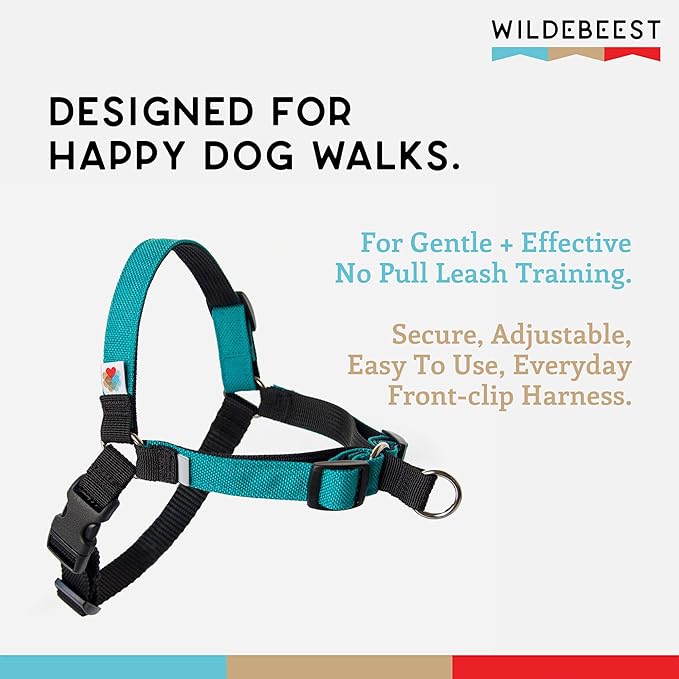 No Pull Dog Harness | Comfortable Training Harnesses | Effective No Pull Harness Design | Ideal for Small Dog and Puppy | 4-Point Adjustable (S -18~24 inch Girth, Turquoise)