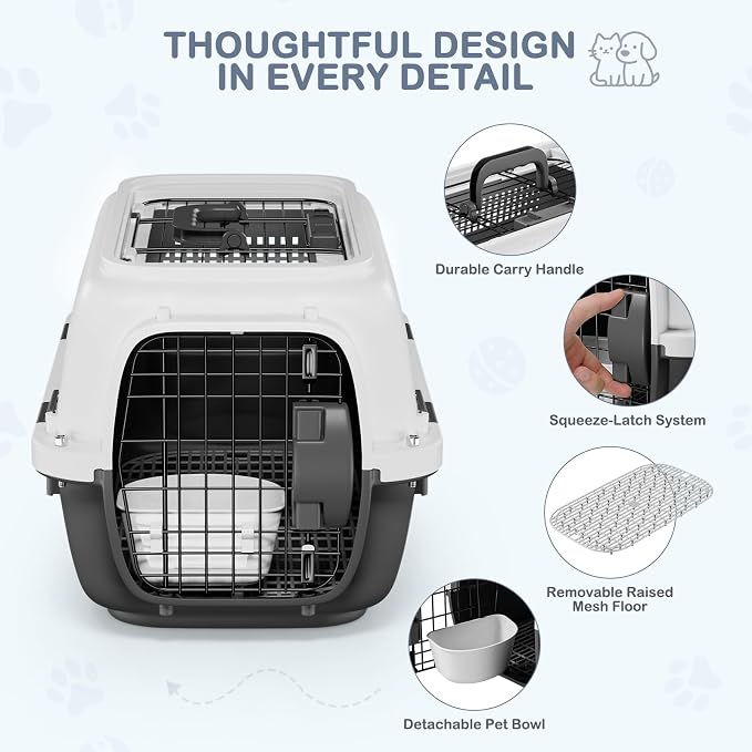 19.5" Hard-Sided Pet Carrier for Small Dogs & Cats, Plastic Cat Carriers | Front & Top Door Access, Ventilation Design, Feeding Bowl Included, for Camping & Trips, for Small Pets up to 20 lbs, Gray