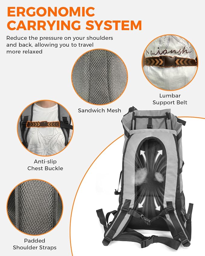 Waterproof Dog Backpack Carrier for Medium Dogs Under 30 lb, Grey | 4-Layer Protection, Adjustable Dog Hiking Backpack with Storage Pockets, Reflective Strips, Non-Slip Handle for Travel