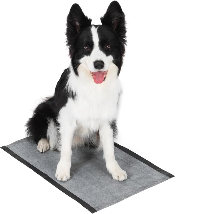 Glad for Pets Black Charcoal Puppy Pads, 17.5 x 23.5 Inch, 120 Count, 2-Pk | Super-absorbent core, disposable design, 17.5x23.5 in, potty crate and indoor training