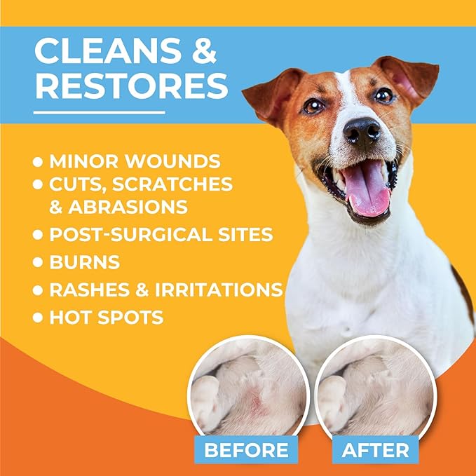 Paw Science Skin & Wound Care Spray for Dogs & Cats – Lick-Safe Antiseptic Healing Aid, Itch Relief & Skin Repair Treatment for Hot Spots, Rashes, Cuts, Burns, & Irritation