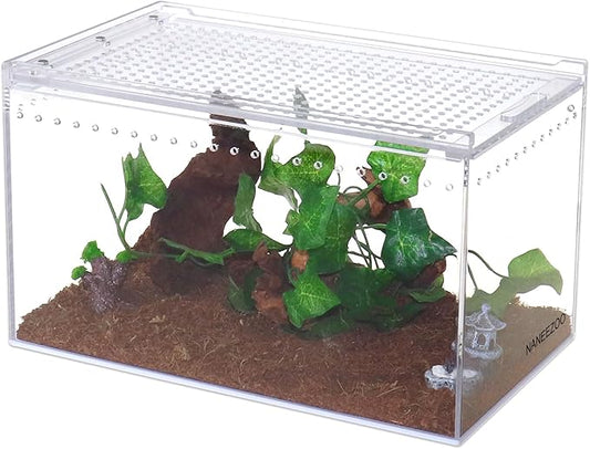 NANEEZOO Magnetic Acrylic Enclosure 10x6x6 Inch Tall Long Case Reptile Habitat Terrarium cage for Terrestrial Arboreal Tarantula Scorpion Sling Isopods Lizards Invertebrates Insect Mantis