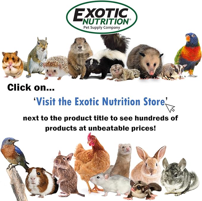 Sturdy Nest Box (M) - Cage Attachment, Hinged Lid, Perching Ledge - for Sugar Glider, Squirrel, Rat, Finch, Parakeet, Lovebird, Parrotlet, Lovebird, Canary, Cockatiel, Other Birds & Small Pets