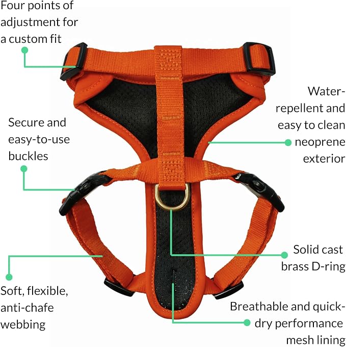 Adventure Dog Harness - Stylish, & Durable Small Dog Harness for Outdoor Adventures and Everyday Wear - Sunset Orange Neoprene Adjustable Harness for Dogs with Reflective Piping & Brass D-Ring