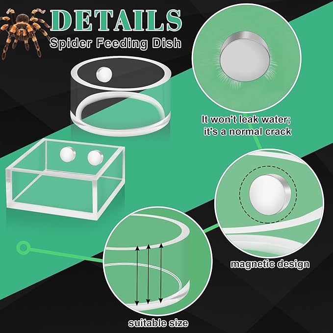 Windspeed 2+1P 1.8 inch Mini Jumping Spider Feeding Dish Magnet Tarantula Water Bowl for Spider Feeder Water Dish for Tarantula Tank Enclosure Accessories, with A Dropper (Square and Round)