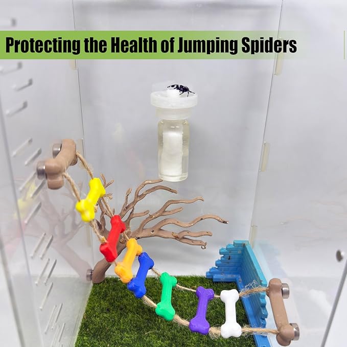 Jumping Spider Water Dispenser, Magnetic Hanging Feeder,Suitable for Jumping Spiders,Tarantulas, Praying Mantises,Arboreal Animals, and Other Small Animal Enclosure Accessories (Transparent, 10ML)
