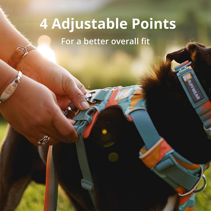 Ruffwear, Front Range Dog Harness, Reflective Soft Padded Everyday Harness with Dual Leash Clips, Adjustable and Lightweight Fit for Training or Walking for All Dogs, Moonlight Mountains, Medium