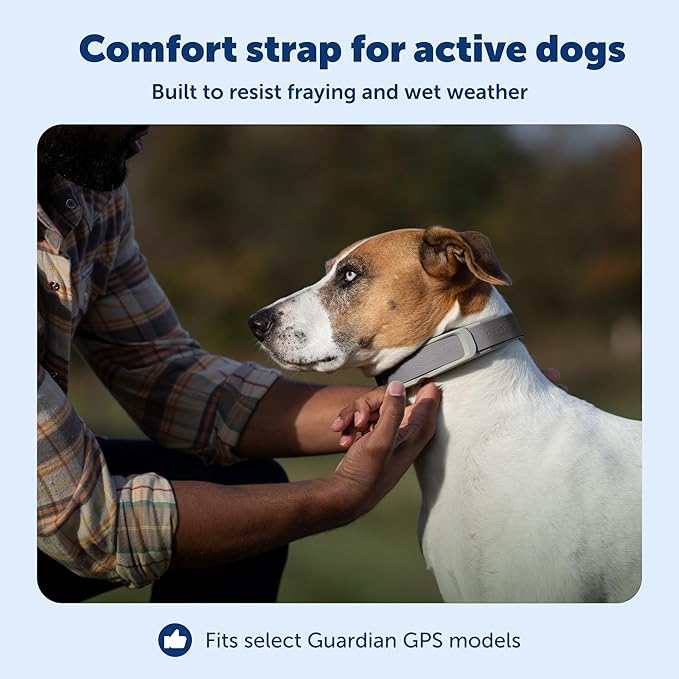 PetSafe Replacement Strap for Guardian GPS + Tracking Dog Fence Collar & Guardian GPS Dog Fence Collar - Soft Touch Material - Waterproof Material - Adjustable - Durable Design - Grey