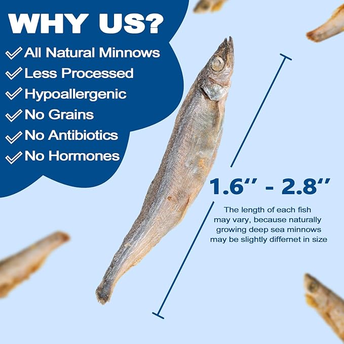 Amzey 7oz Minnows Dog Treats - Freeze Dried Minnows Cat Treats - High Protein & Premium Quality Training Treats - Bulk Package (1.6" to 2.8" Length Each)