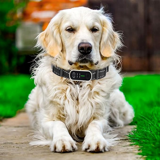 2 Pack Replacement Collar for Dog Training Collar Replacement Strap for GPS Tracker, Reflective Electronic Fence Training Barking Collar for Most Dog Training Collar Receivers