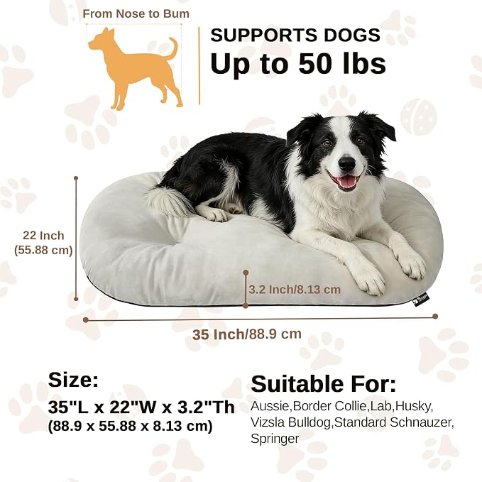 Washable Oval Dog Bed for Large Dogs, Silver-Tipped High-Resilience, Beige | Non-Slip Bottom Prevents Sliding, Soft Plush Short Fur, Machine Washable, Ideal for Crates/Apartments/Cozy Nooks,35"x22"x3.2"