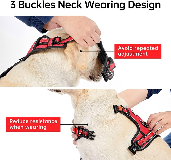 IVY&LANE No Pull Dog Harness for Medium Dogs, Dog Vest Harness with Leash, Safety Belt and Storage Strap, Fully Adjustable, 360° Reflective Strip, Soft Handle (Red, M)