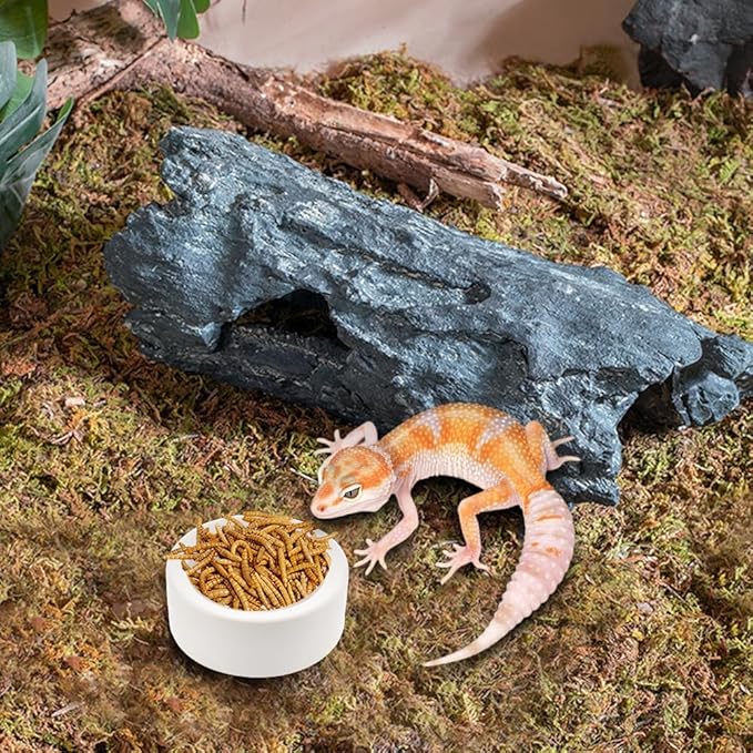 3 Pack Small Reptile Feeding Bowl Ceramic Food and Water Dish for Tarantula Hermit Crab Lizard Gecko Frog Turtle Small Reptile (White)