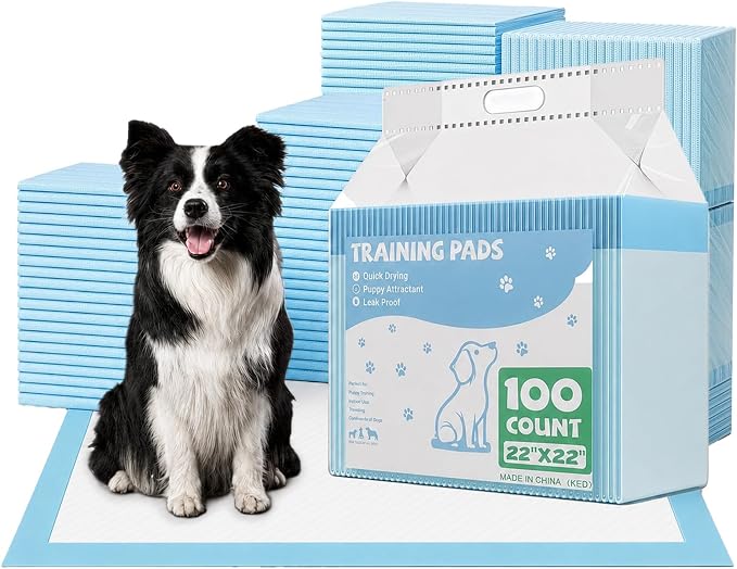 DUMOS 100 Count Puppy Dog Pads, Dogs Potty Pee Disposable Training Pads | 6-Layer Super Absorbency, Disposable Pet Leakproof Quick Drying, 22"×22"× Regular Size