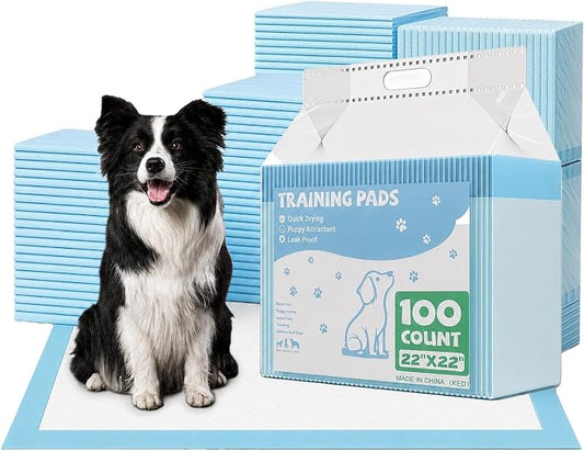 DUMOS 100 Count Puppy Dog Pads, Dogs Potty Pee Disposable Training Pads | 6-Layer Super Absorbency, Disposable Pet Leakproof Quick Drying, 22"×22"× Regular Size