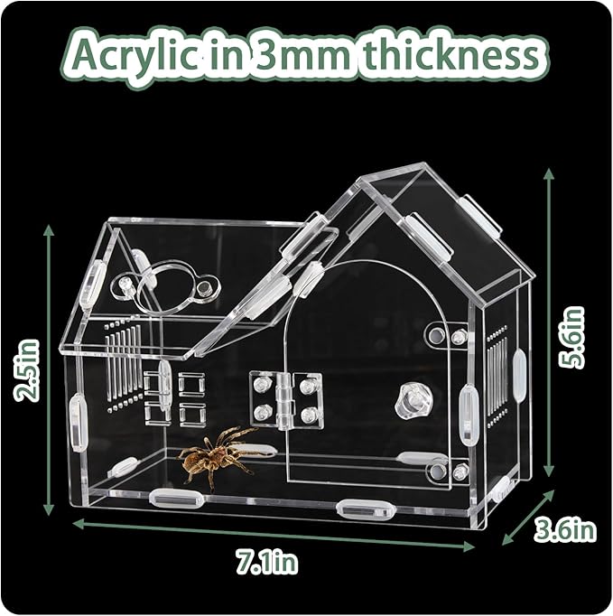 Acrylic Jumping Spider Enclosure with Magnetic Door - Transparent Tarantula Terrarium for Pet Spiders - Secure & Ventilated Reptile Habitat for Hermit Crabs, Geckos, and Small Insects