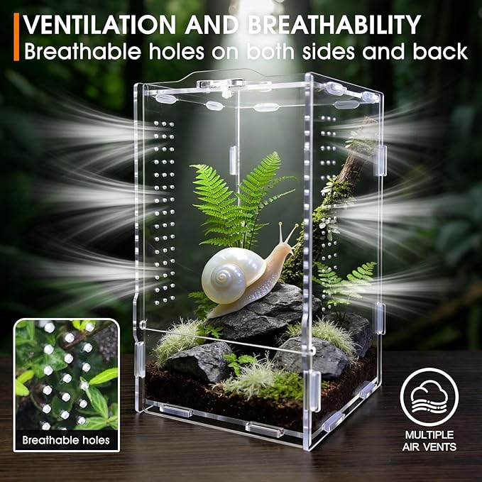 Jumping Spider Enclosure, Insect Terrarium, Bug Cage, Acrylic Terrarium for Tarantula, Snail, Praying Mantis, Frog, and Small Reptiles (4.7" x 4.3" x 7.8")