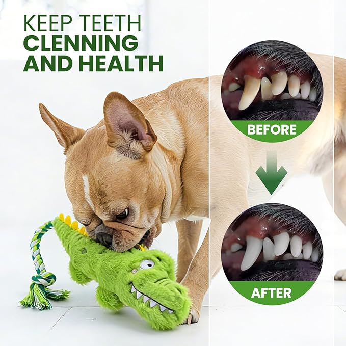 Squeaky Plush Crocodile Dog Toy,with a Rope Tail,Crinkle Stuffed Dog Toy Keep Them Busy Tug of War Training Play, Dog Chew Toy for Small Medium Dogs (Green)