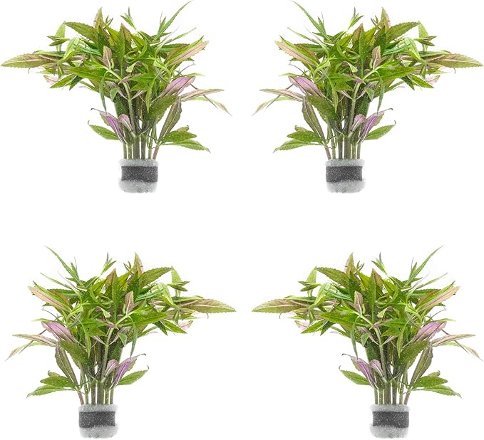 SubstrateSource Live Aquarium Stem Plants - Freshwater Aquatic Plant for Fish Tanks, Aquascaping - (Limnophila Aromatica, 4 Bunches)