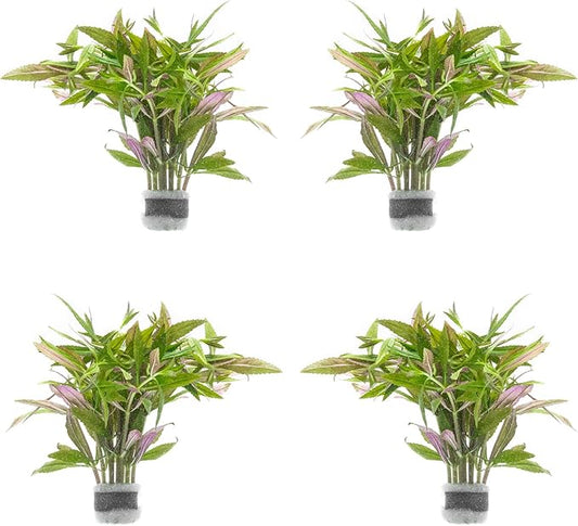 SubstrateSource Live Aquarium Stem Plants - Freshwater Aquatic Plant for Fish Tanks, Aquascaping - (Limnophila Aromatica, 4 Bunches)