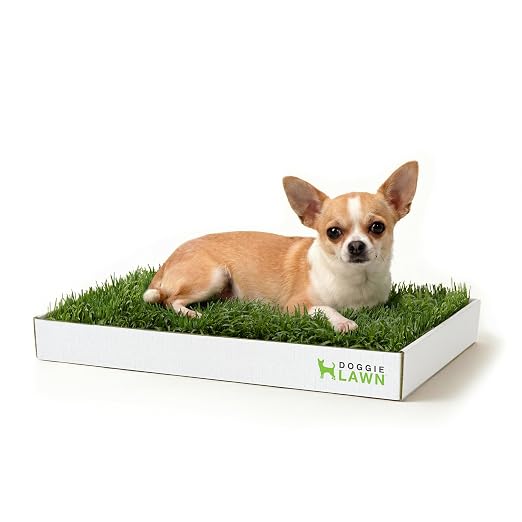 DoggieLawn Real Grass Dog Pee Pads with Tray - Mini Dog Potty Pad 24x9 | No-cleaning, odor-reducing puppy potty training pad for housebreaking, indoor or outdoor use, real grass, replace when needed