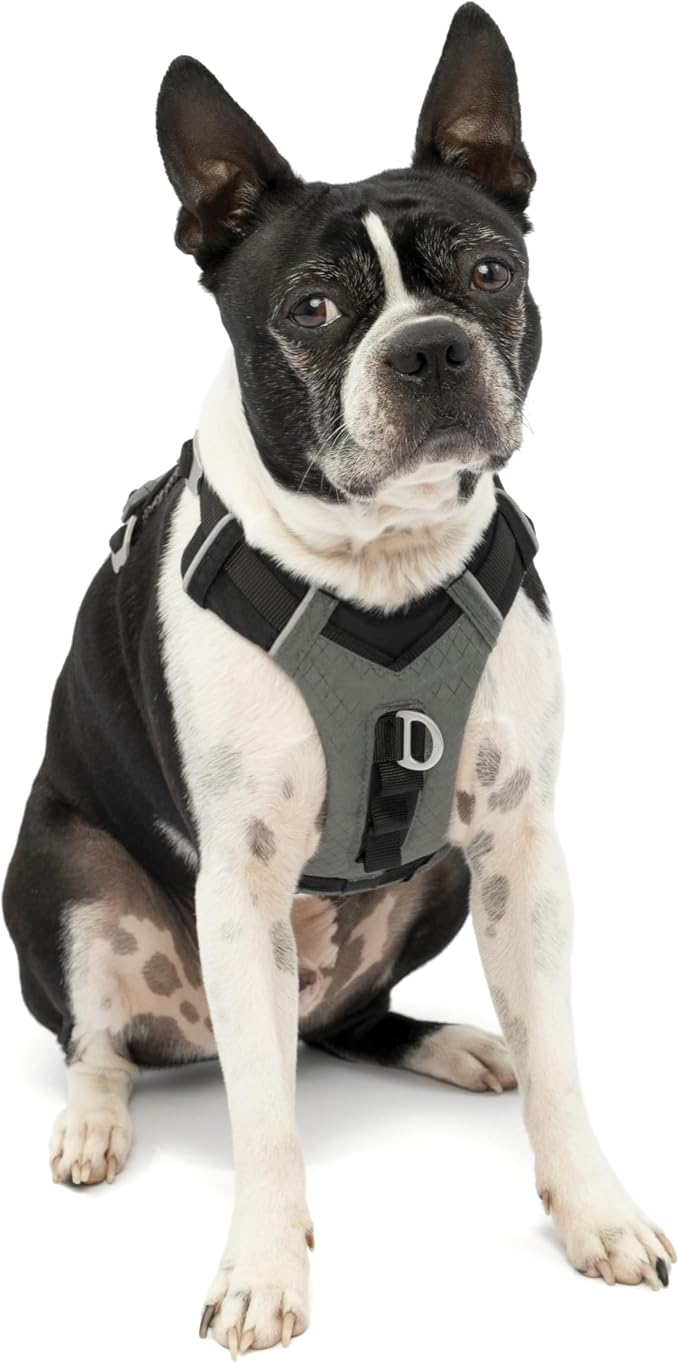 Kurgo Journey Air Dog Harness, Black, Small | Padded Chest, Ripstop Outer & Breathable Mesh, Back Assist Handle, Rust-Free Aluminum Hardware, Reflective Trim
