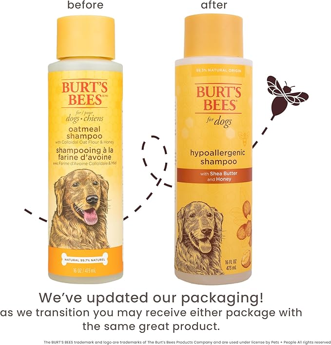 Burt's Bees for Pets Hypoallergenic Dog Shampoo with Shea Butter and Honey, Gentle Fragrance Free Shampoo for Sensitive Dogs with 95% Natural Origin Skin and Coat Formula, 16 Fl Oz - 2 Pack