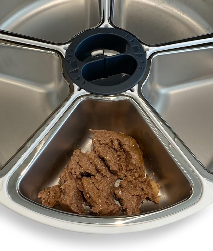 Closer Pets C500 Five-Meal Automatic Pet Feeder with Stainless Steel Bowls
