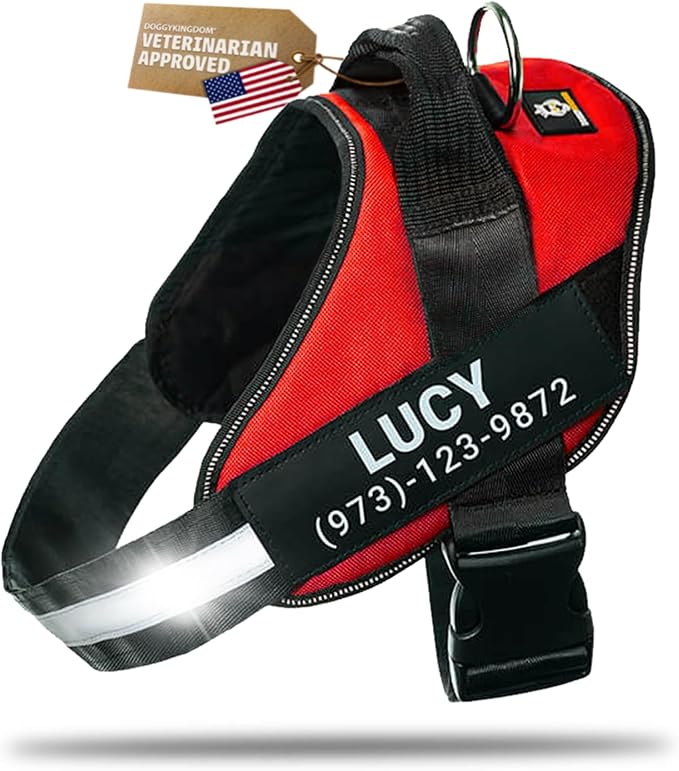 Personalized Dog Harness with Custom Name Patches, Adjustable Reflective No Choke Dog Vest with Handle for XXL Dog, Red, 2XL